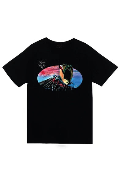 Pink Floyd Renkli soyut baskılı siyah tişört