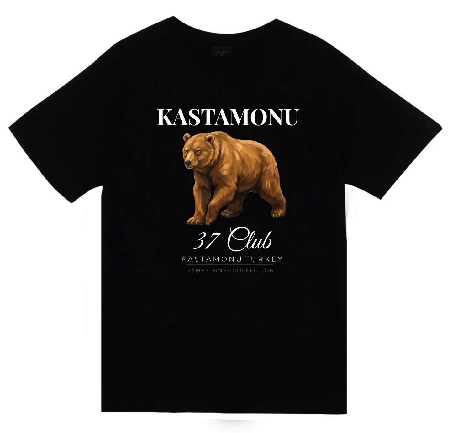Kastamonu 37 Ilgaz Dağı Nasrullah Köprüsü Şehir Baskılı Unisex %100 Pamuk Siyah T-shirt
