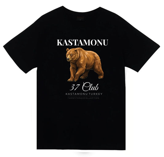 Kastamonu 37 Ilgaz Dağı Nasrullah Köprüsü Şehir Baskılı Unisex %100 Pamuk Siyah T-shirt