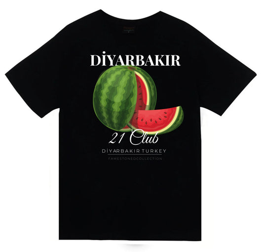 Diyarbakır - 21 - Surlar - Karpuz - Şehir Baskılı Unisex %100 Pamuk Siyah T-shirt