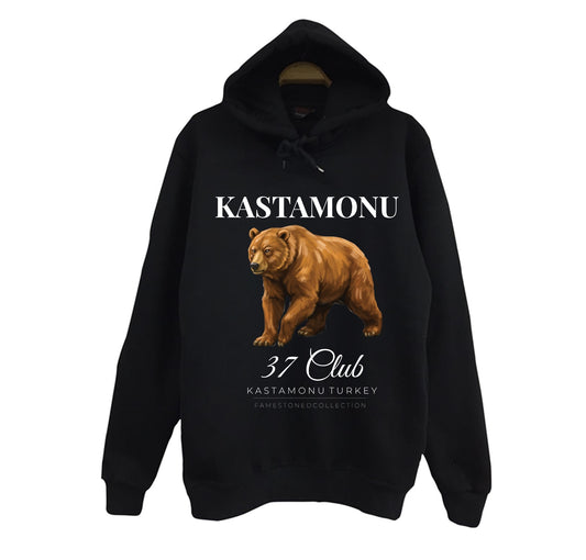 Kastamonu 37 Ilgaz Dağı Nasrullah Köprüsü Şehir Baskılı Unisex %100 Pamuk Siyah Kapüşonlu Sweatshirt