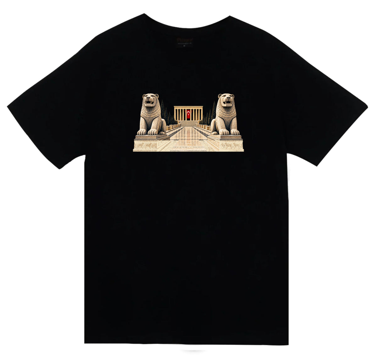 Ankara Aslanlı Yol baskılı siyah t-shirt