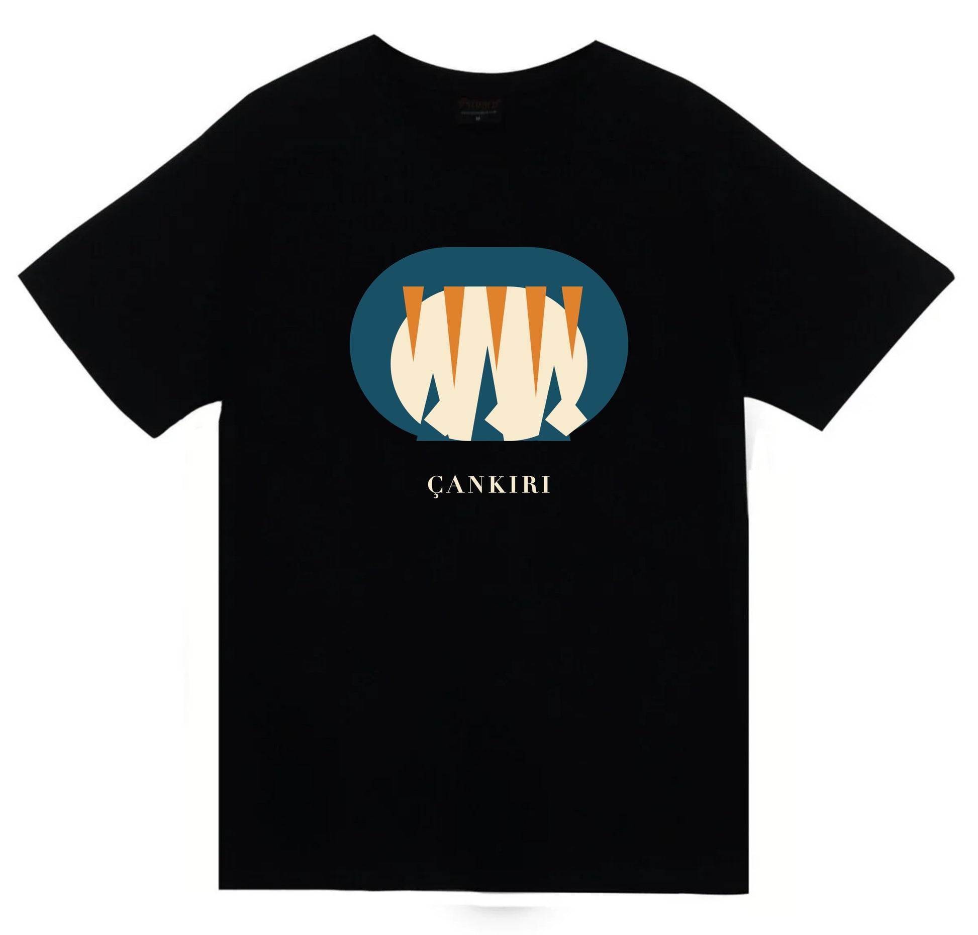 Çankırı Yeraltı Tuz Şehri baskılı siyah t-shirt
