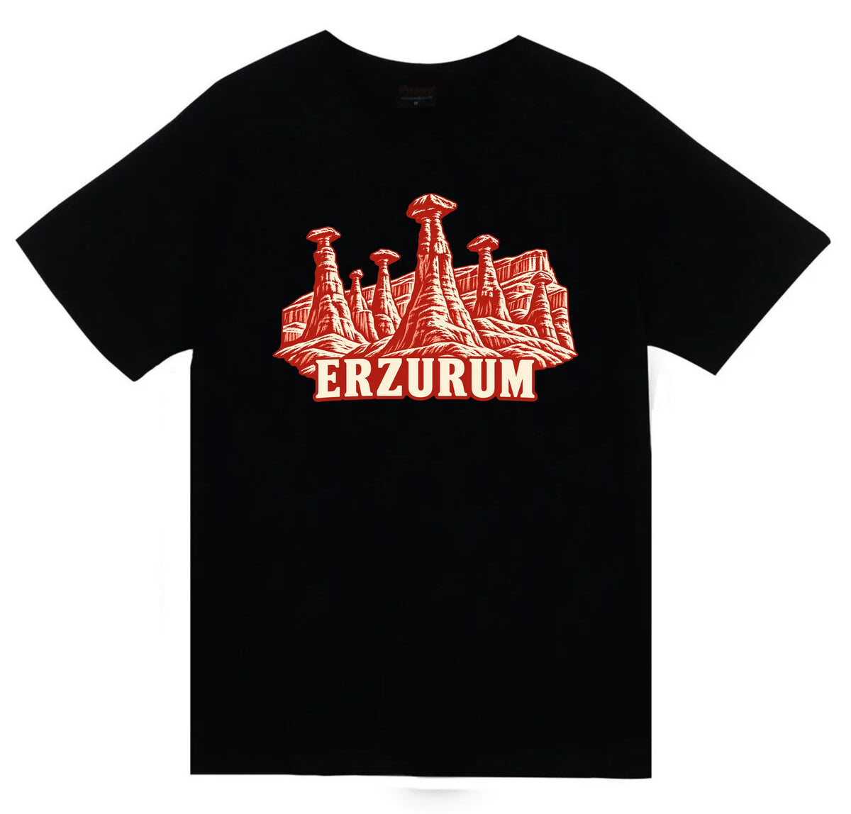 Erzurum Narman Peribacaları baskılı siyah t-shirt