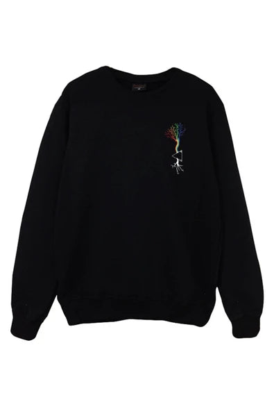 Pink Floyd Renkli minimal baskılı siyah sweatshirt